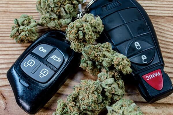 driving and cannabis kingston