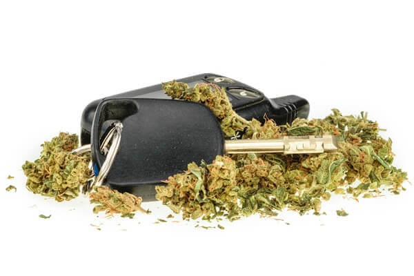 drug driving limit cannabis burlington